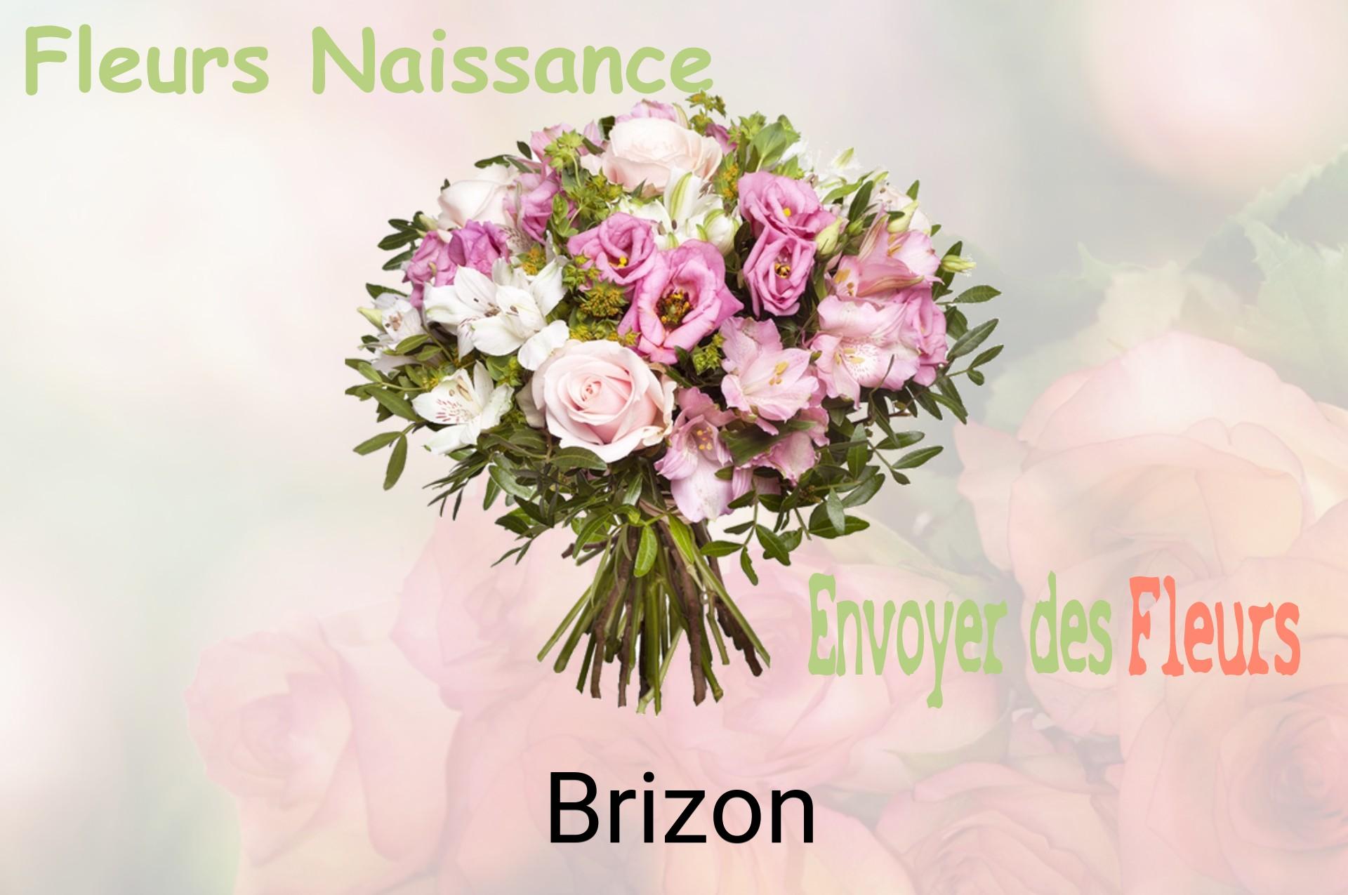 Bouquet de fleurs de naissance livré à Brizon