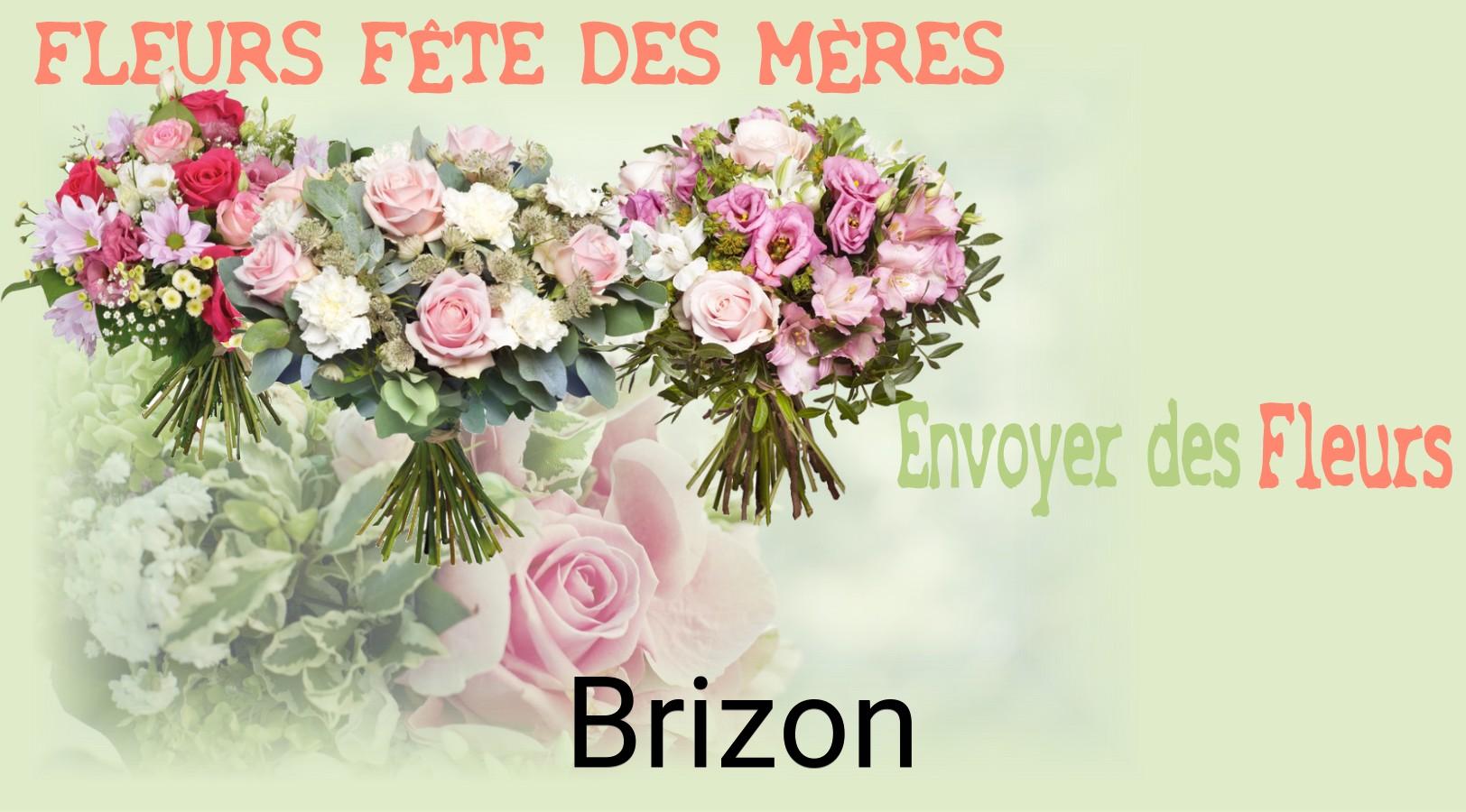 Bouquet de Fête des Mères livré à Brizon