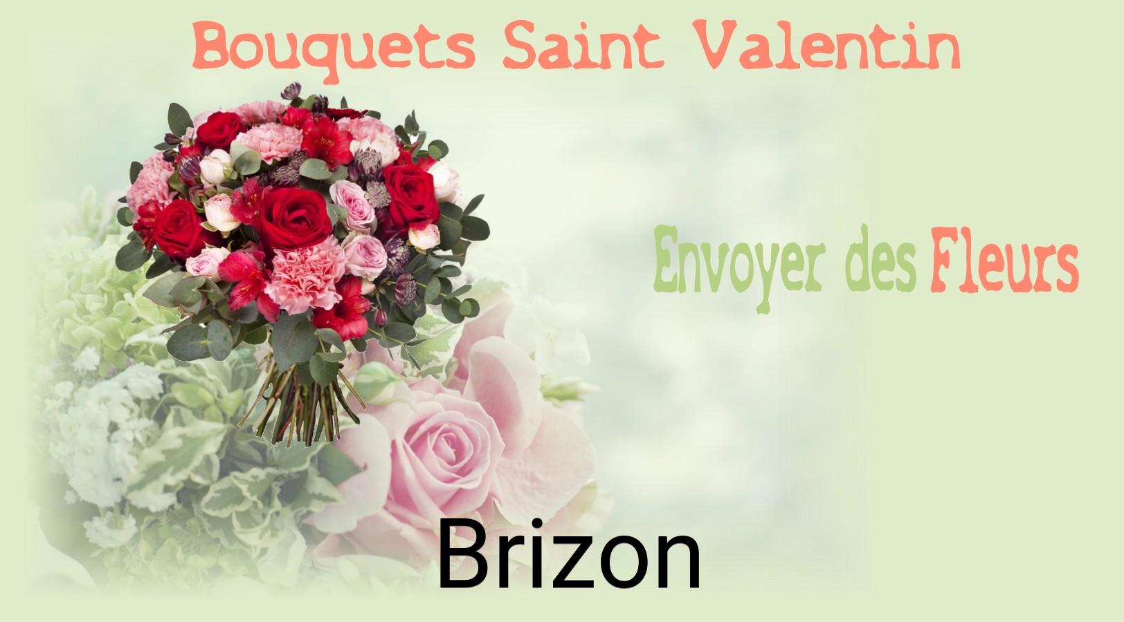 Roses de Saint-Valentin livrées à Brizon